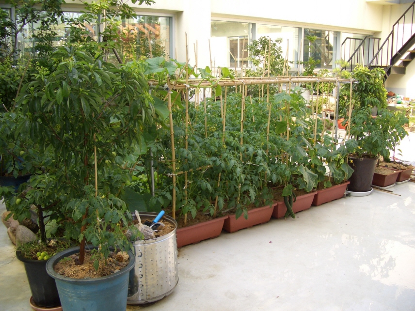 100201_tokpoyh200924.JPG