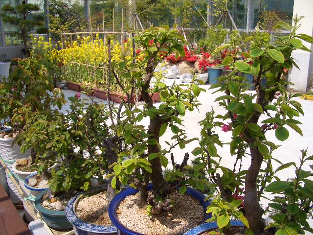 100201_tokpoyh201456.JPG