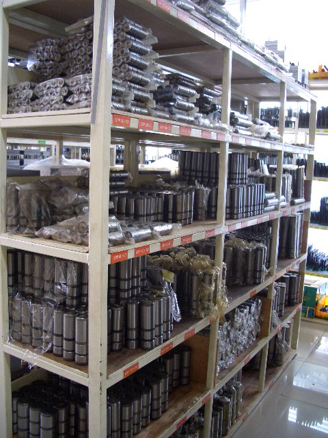 100202_tokpoyh164041.JPG