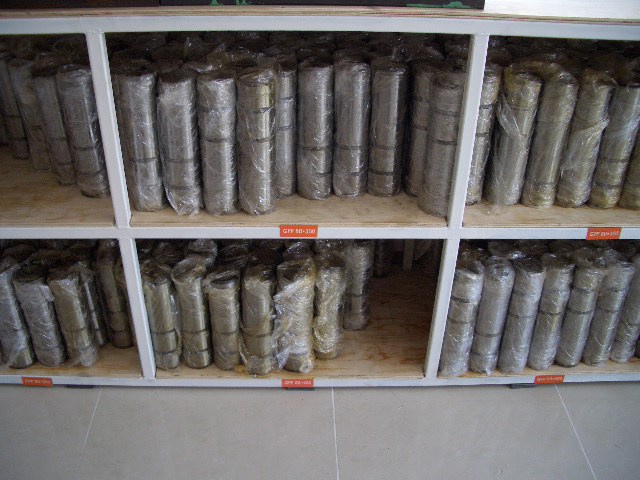 100202_tokpoyh164410.JPG